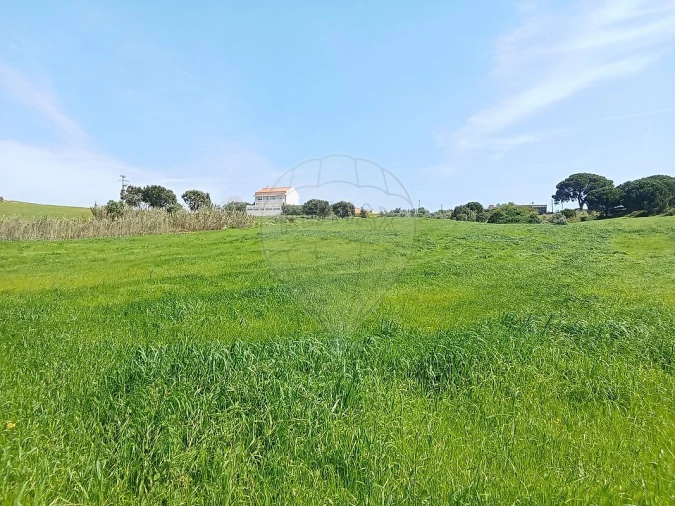 Terreno para Venda em Aveiras de Cima Foto 14