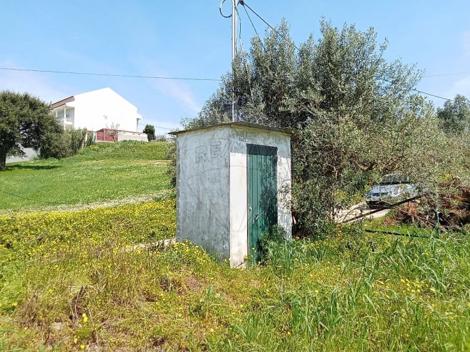 Terreno para Venda em Aveiras de Cima Foto 5