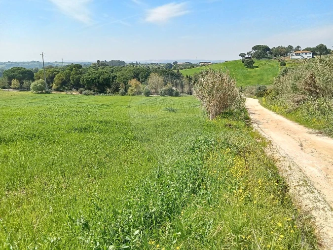 Terreno para Venda em Aveiras de Cima Foto 6