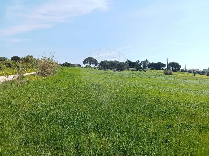 Terreno para Venda em Aveiras de Cima Foto 9