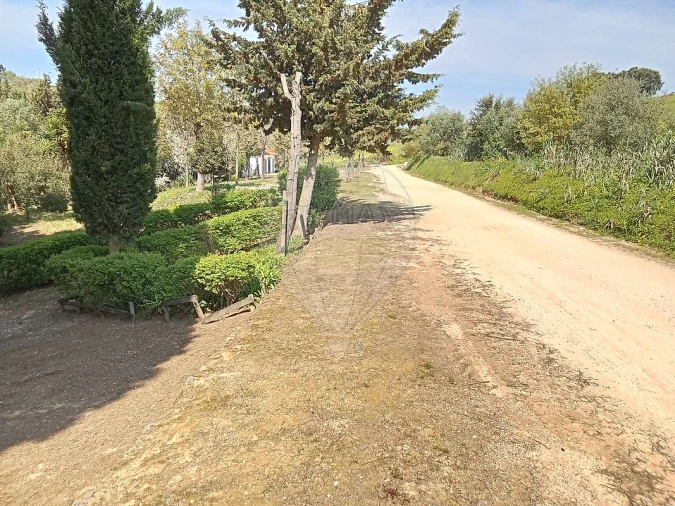 Terreno para Venda em Aveiras de Cima Foto 16