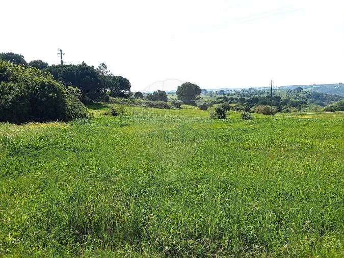 Terreno para Venda em Aveiras de Cima Foto 3