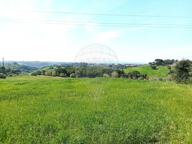 Terreno para Venda em Aveiras de Cima Foto 2
