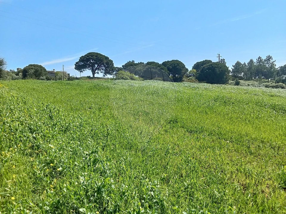 Terreno para Venda em Aveiras de Cima Foto 7