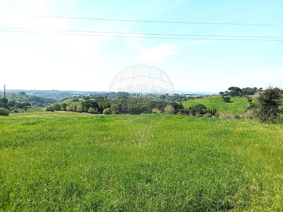 Terreno para Venda em Aveiras de Cima Foto 2