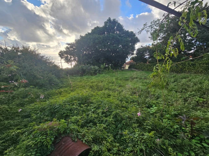 Moradia T2 para Venda em Caniço Foto 16