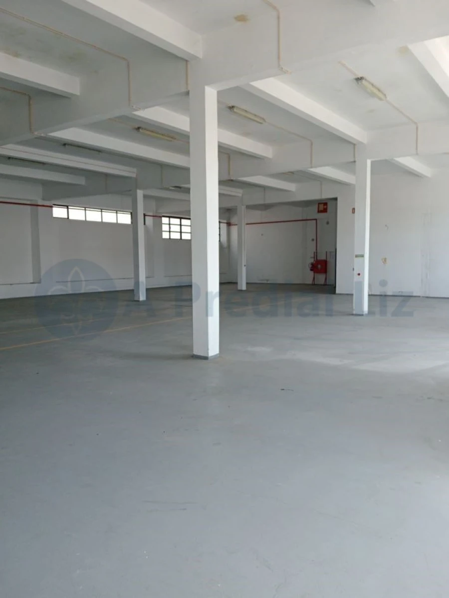 Armazém para Arrendamento em Paranhos Foto 2