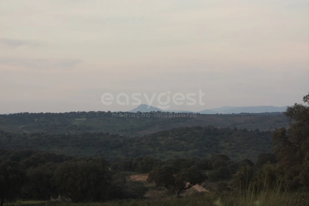 Terreno Agricola ou Rústico para Venda em Rosmaninhal Foto 7