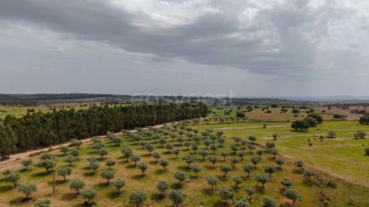 Terreno Agricola ou Rústico para Venda em Rosmaninhal Foto 1