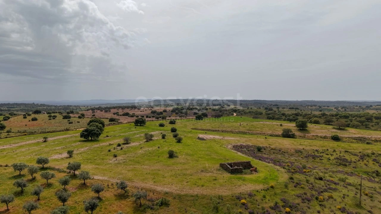 Terreno Agricola ou Rústico para Venda em Rosmaninhal Foto 2