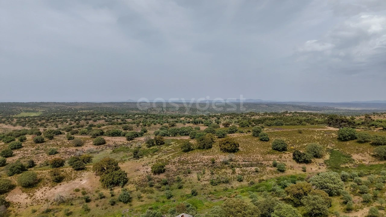 Terreno Agricola ou Rústico para Venda em Rosmaninhal Foto 5