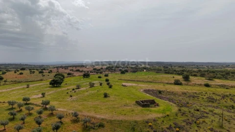 Terreno Agricola ou Rústico para Venda em Rosmaninhal