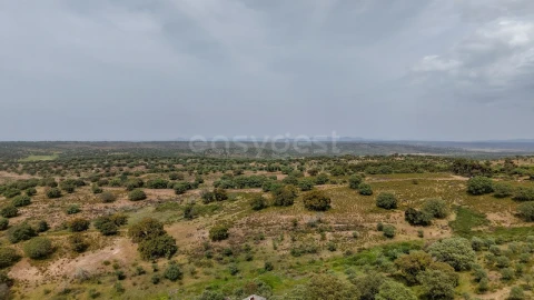 Terreno Agricola ou Rústico para Venda em Rosmaninhal