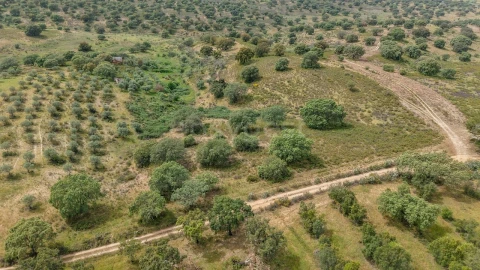 Terreno Agricola ou Rústico para Venda em Rosmaninhal