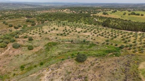 Terreno Agricola ou Rústico para Venda em Rosmaninhal