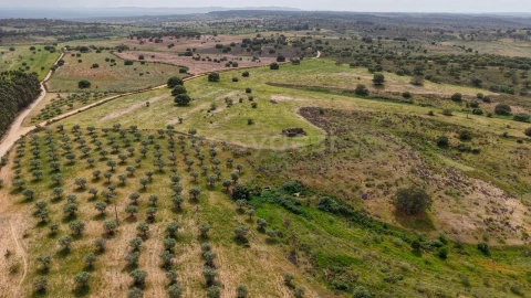 Terreno Agricola ou Rústico para Venda em Rosmaninhal