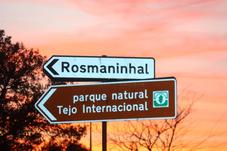Terreno Agricola ou Rústico para Venda em Rosmaninhal Foto 10