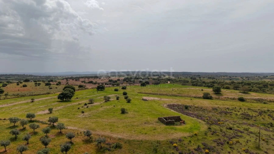 Terreno Agricola ou Rústico para Venda em Rosmaninhal Foto 2