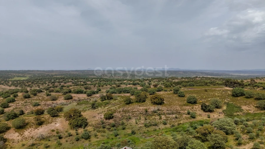 Terreno Agricola ou Rústico para Venda em Rosmaninhal Foto 5