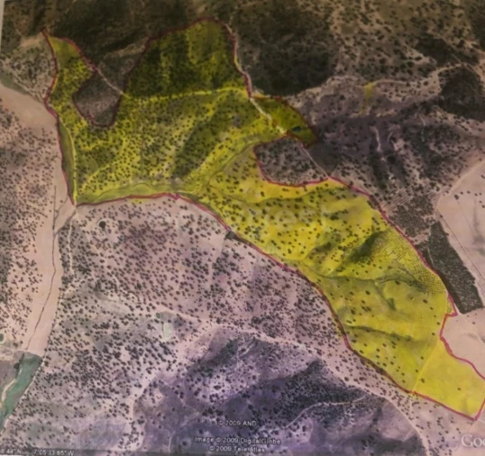Terreno Agricola ou Rústico para Venda em Rosmaninhal Foto 18