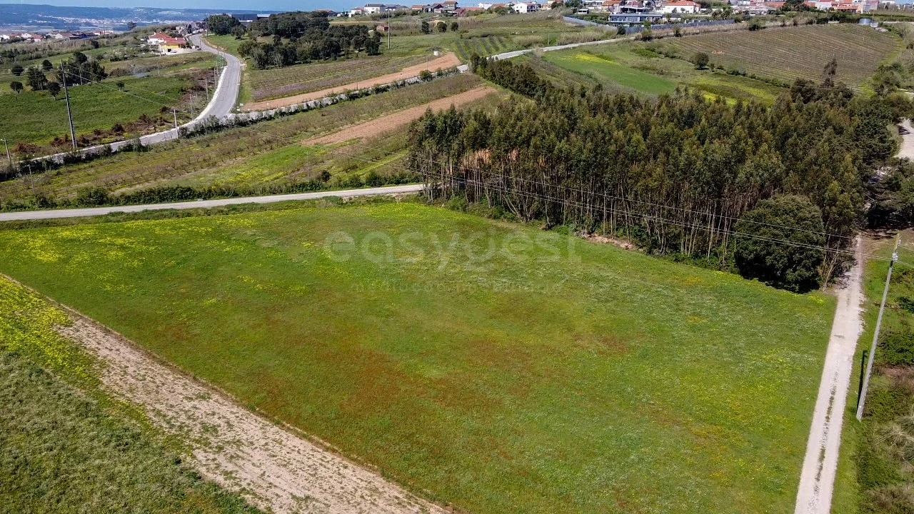 Terreno Agricola ou Rústico para Venda em Usseira Foto 2