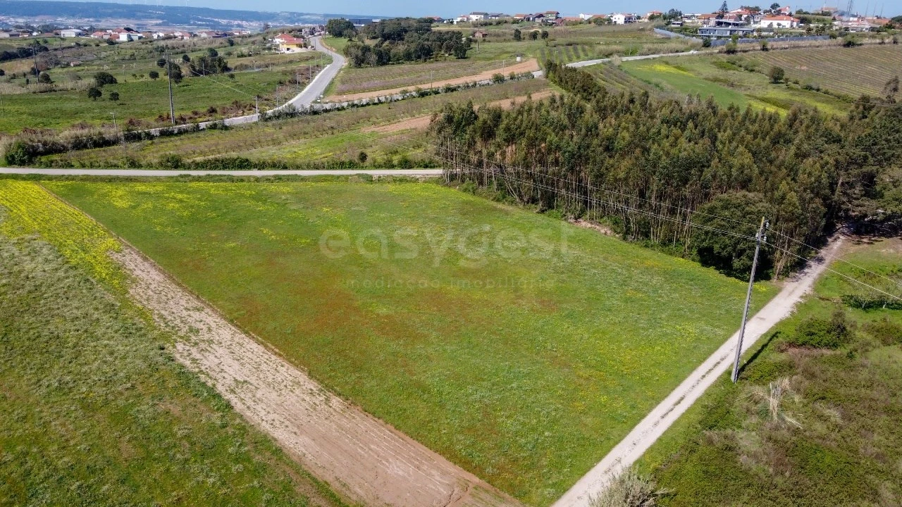 Terreno Agricola ou Rústico para Venda em Usseira Foto 4