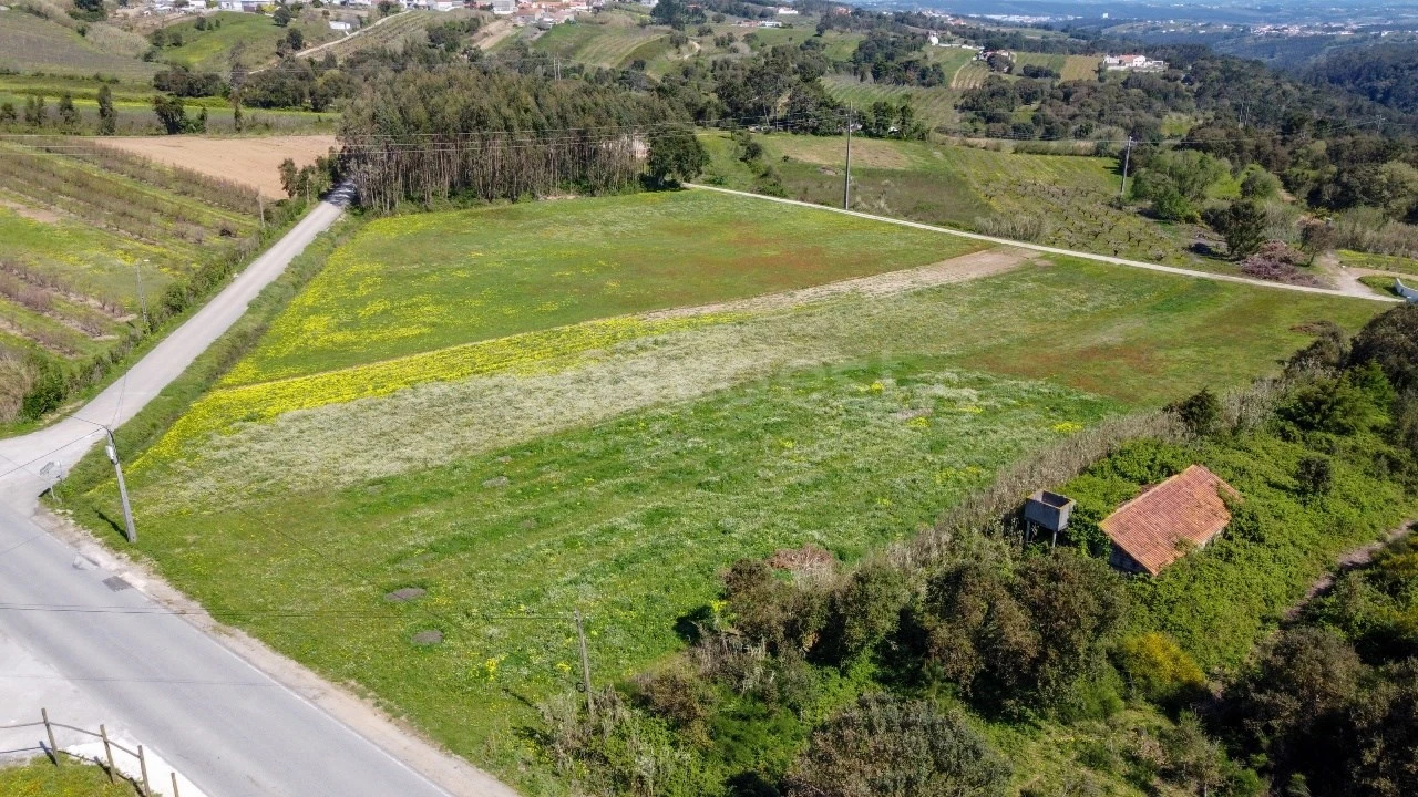 Terreno Agricola ou Rústico para Venda em Usseira Foto 10