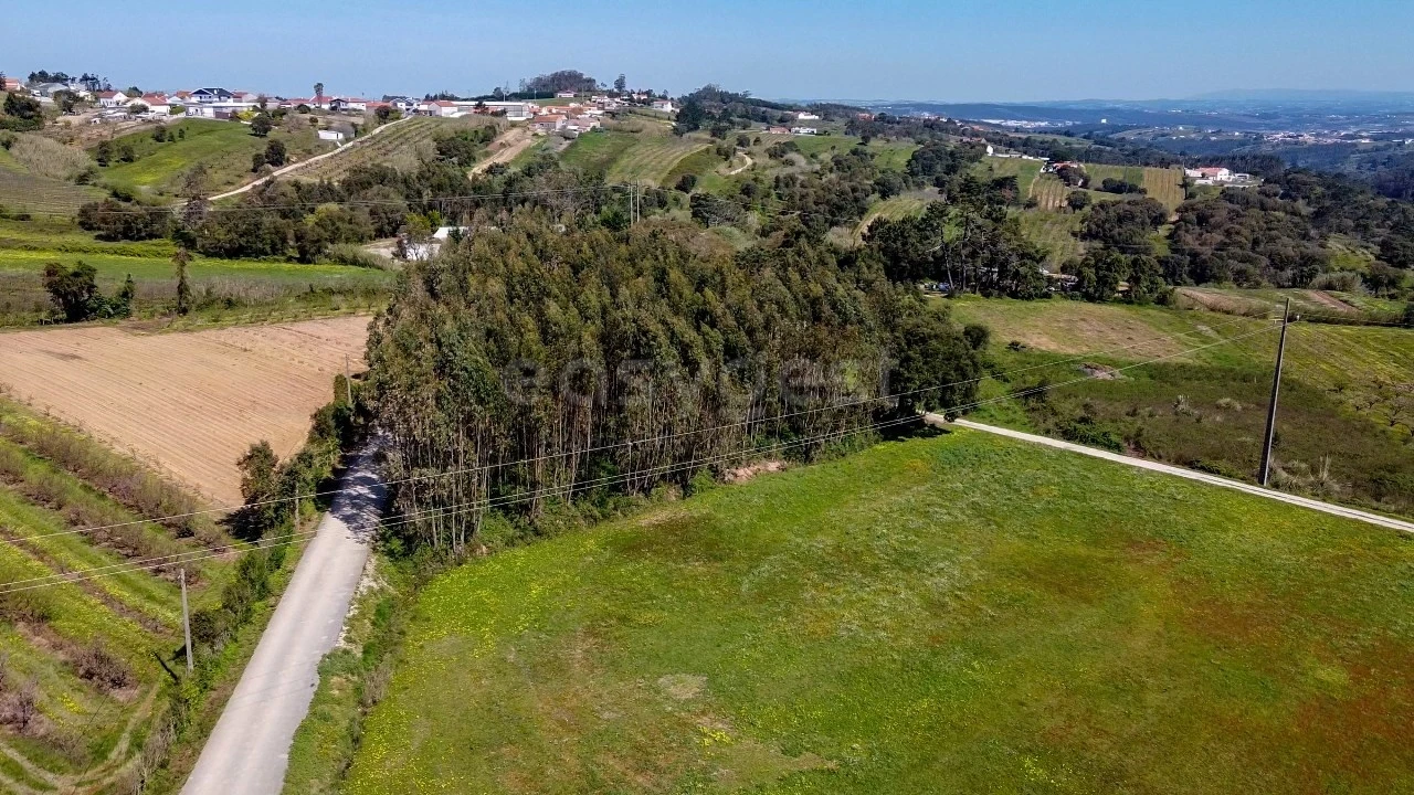 Terreno Agricola ou Rústico para Venda em Usseira Foto 11