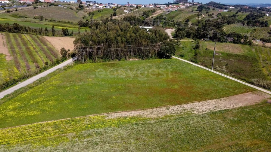 Terreno Agricola ou Rústico para Venda em Usseira Foto 3
