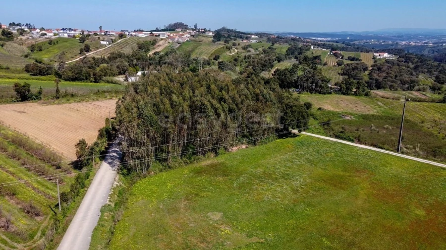 Terreno Agricola ou Rústico para Venda em Usseira Foto 11