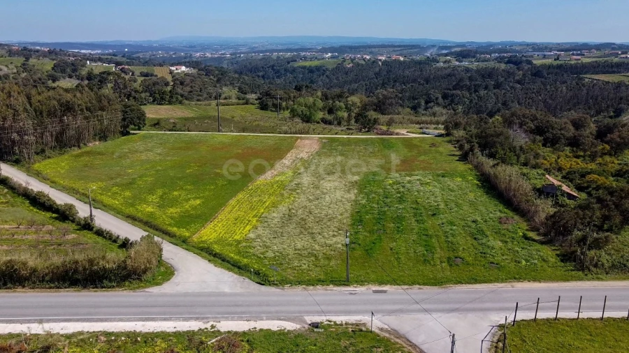 Terreno Agricola ou Rústico para Venda em Usseira Foto 12