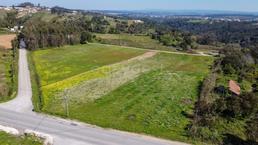 Terreno Agricola ou Rústico para Venda em Usseira