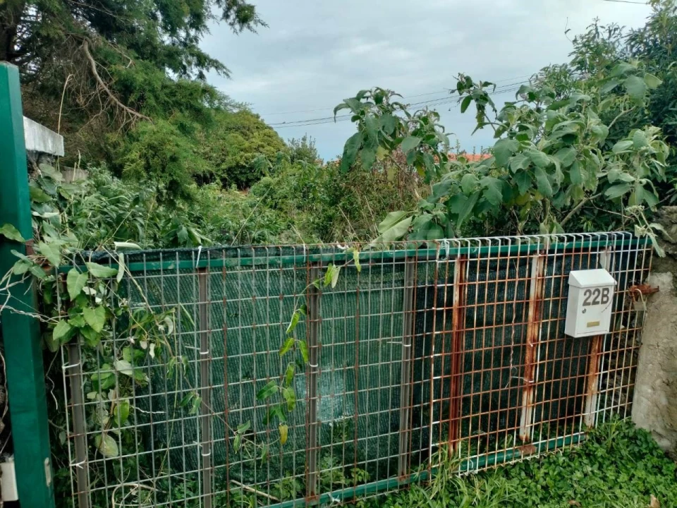 Terreno para Venda em Porto Martins Foto 3