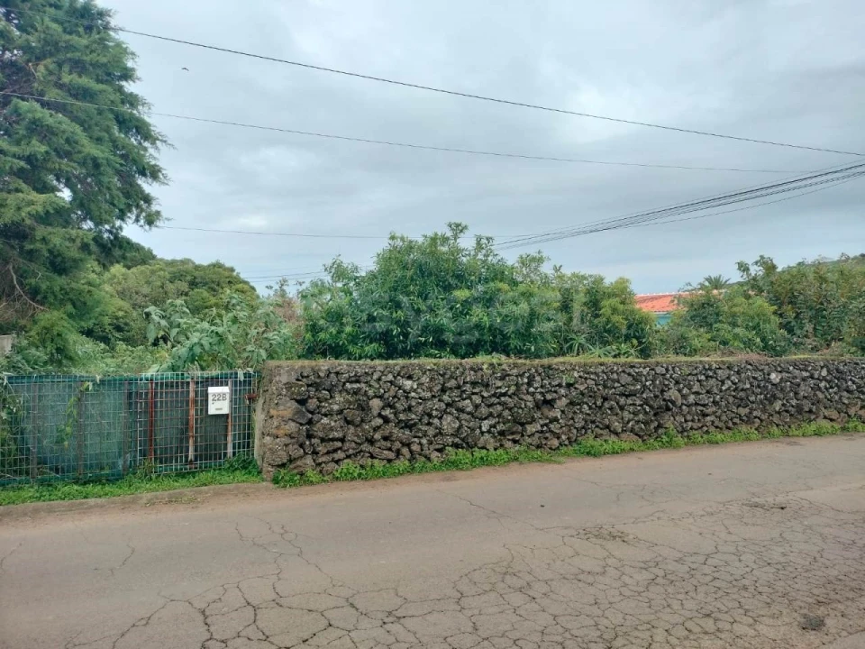 Terreno para Venda em Porto Martins Foto 7