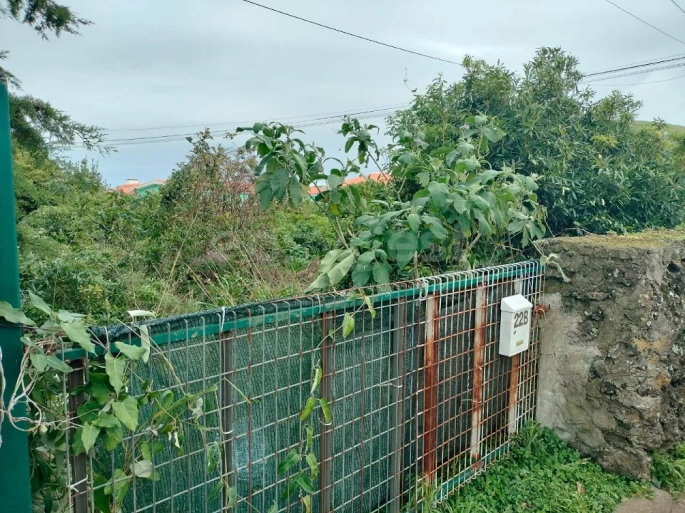 Terreno para Venda em Porto Martins Foto 10