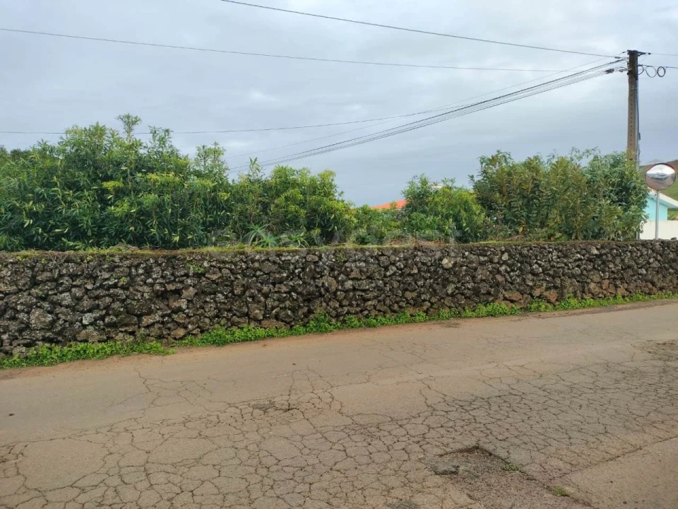 Terreno para Venda em Porto Martins Foto 12