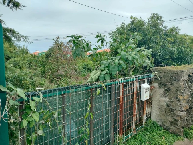 Terreno para Venda em Porto Martins Foto 10