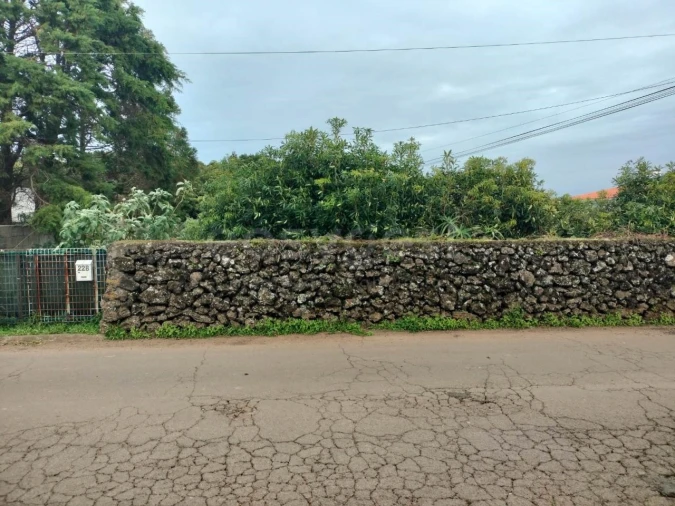 Terreno para Venda em Porto Martins Foto 13