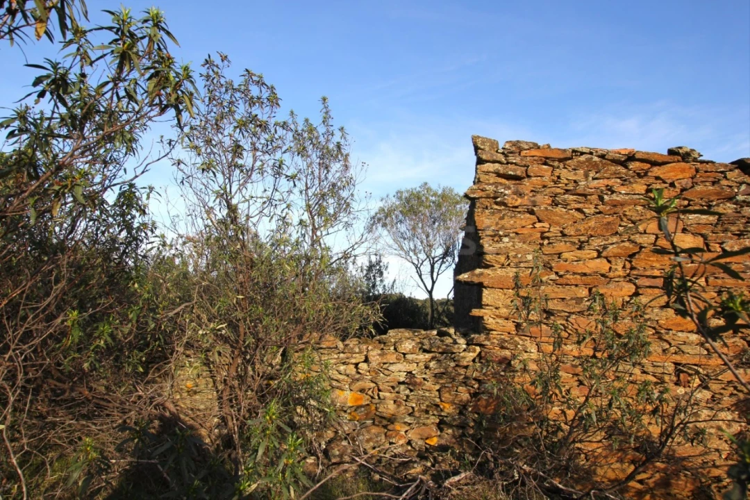 Terreno Agricola ou Rústico para Venda em Rosmaninhal Foto 11