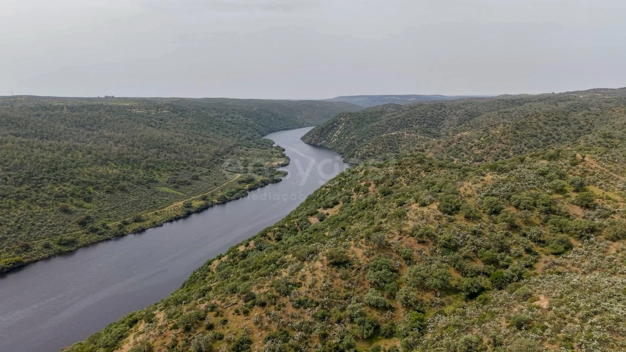 Terreno Agricola ou Rústico para Venda em Rosmaninhal Foto 2
