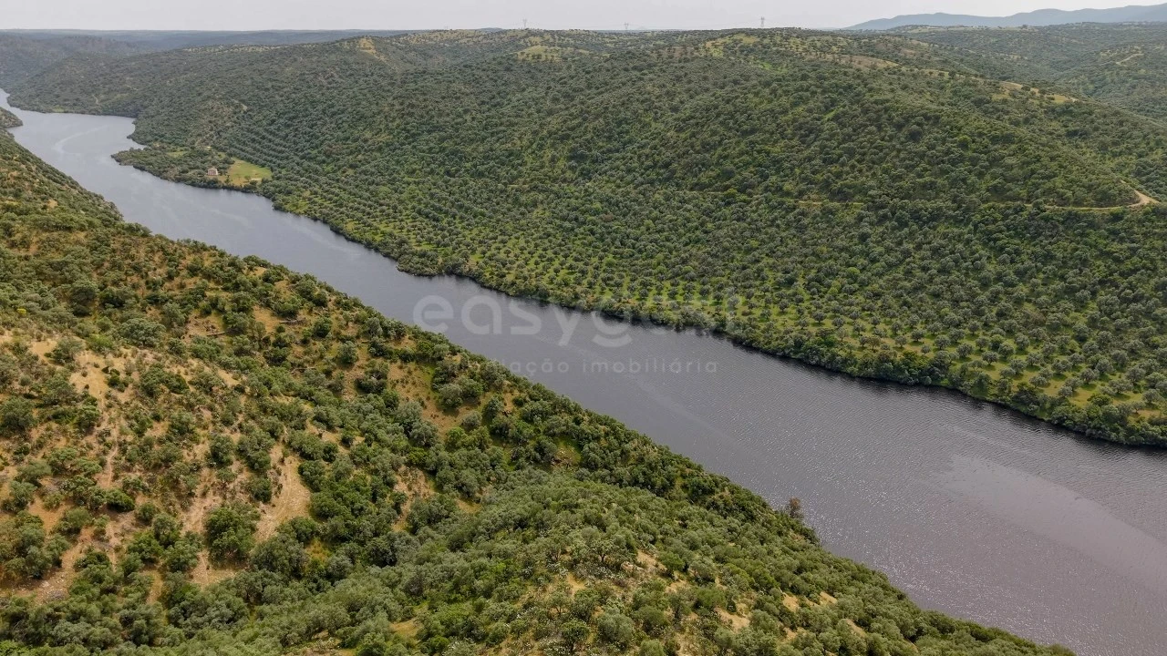 Terreno Agricola ou Rústico para Venda em Rosmaninhal Foto 4