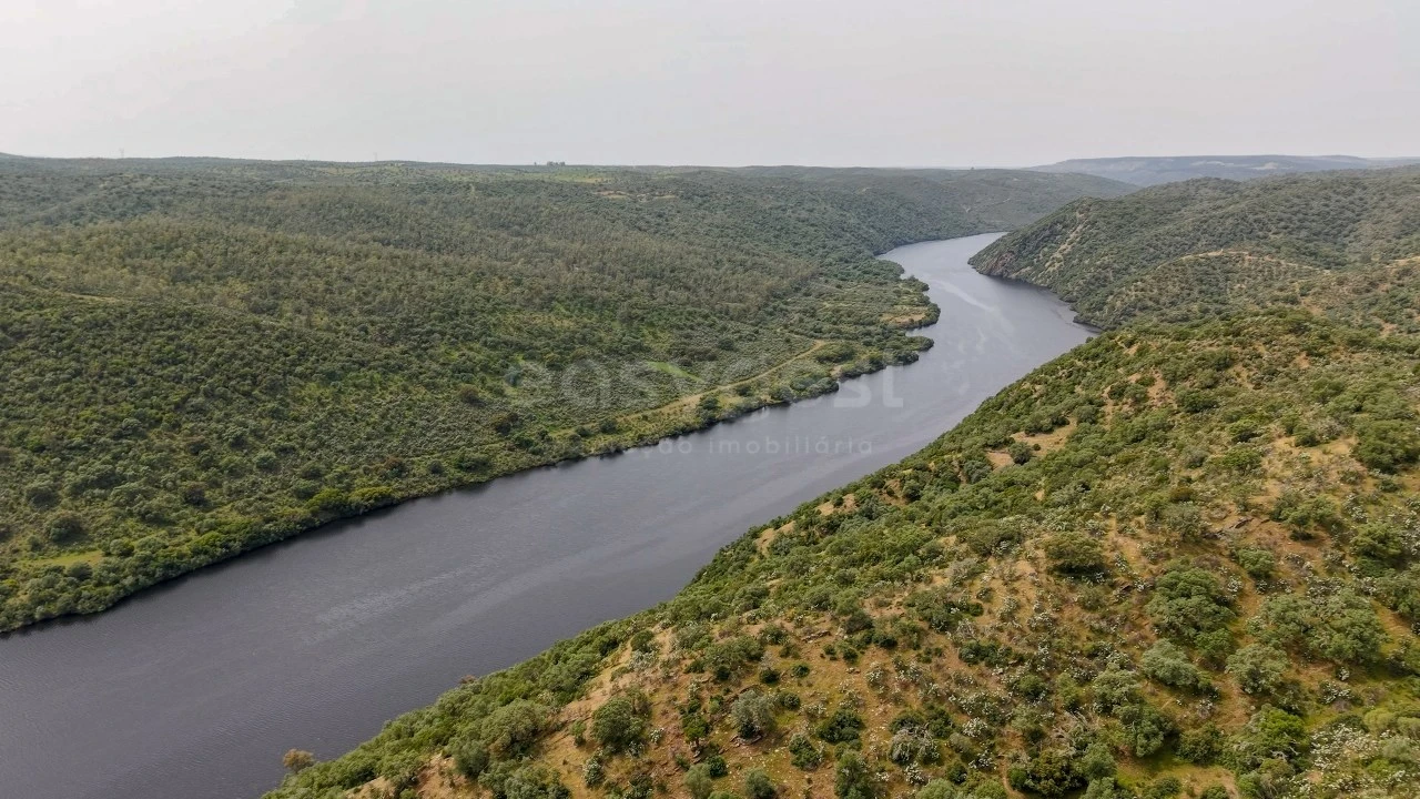 Terreno Agricola ou Rústico para Venda em Rosmaninhal Foto 6