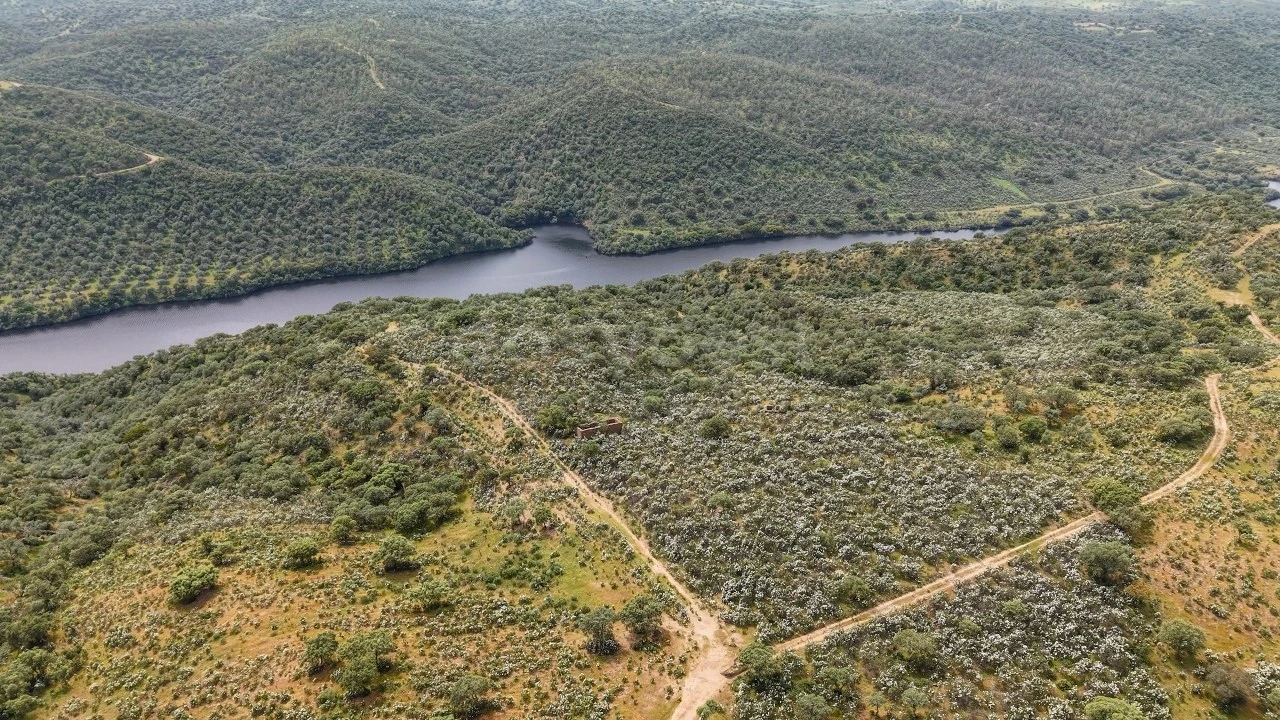 Terreno Agricola ou Rústico para Venda em Rosmaninhal Foto 11