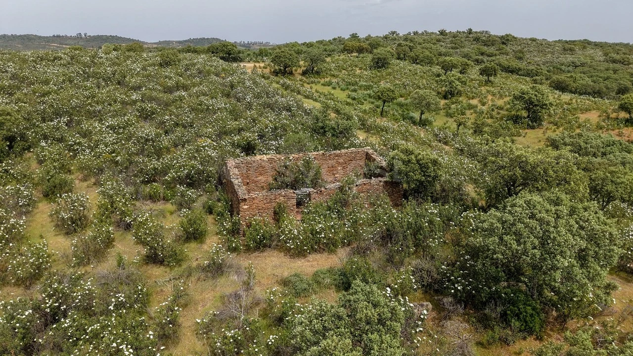 Terreno Agricola ou Rústico para Venda em Rosmaninhal Foto 12
