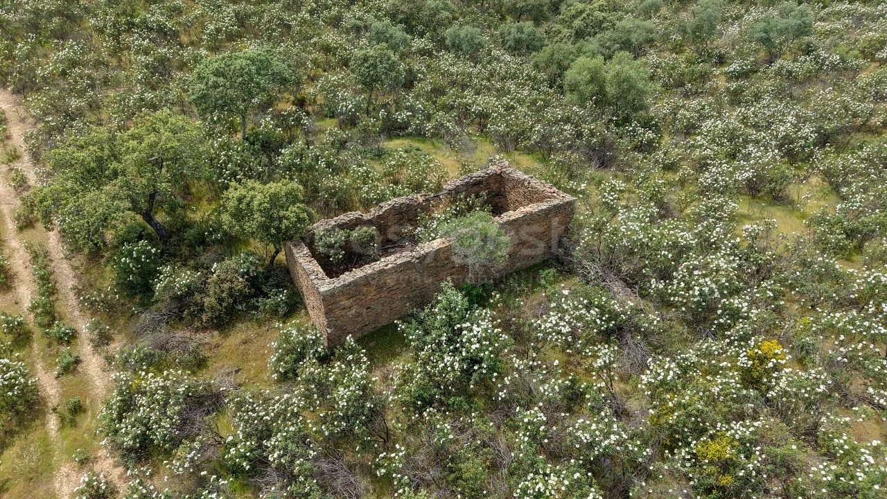Terreno Agricola ou Rústico para Venda em Rosmaninhal Foto 13