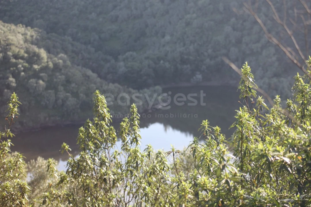 Terreno Agricola ou Rústico para Venda em Rosmaninhal Foto 15