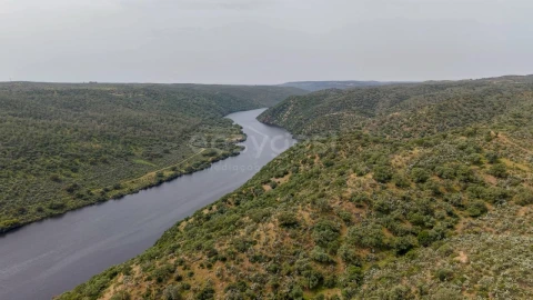 Terreno Agricola ou Rústico para Venda em Rosmaninhal