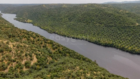 Terreno Agricola ou Rústico para Venda em Rosmaninhal