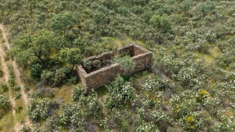 Terreno Agricola ou Rústico para Venda em Rosmaninhal