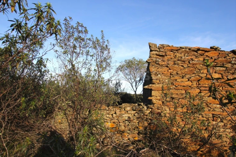 Terreno Agricola ou Rústico para Venda em Rosmaninhal Foto 11